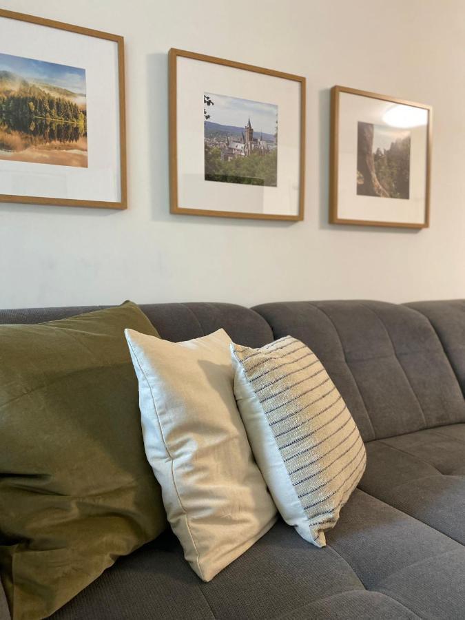 Ferienwohnung Braunlage-Harz Schwimmbad-Sauna, Wlan, Parkplatz Exteriér fotografie